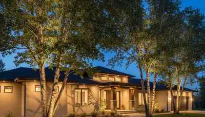 Mature trees with professional uplighting enhancing evening landscape lighting in Ogden, Utah